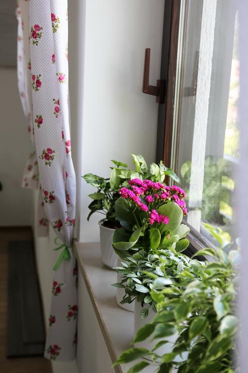 Lake House Apartment Medvode Ngoại thất bức ảnh